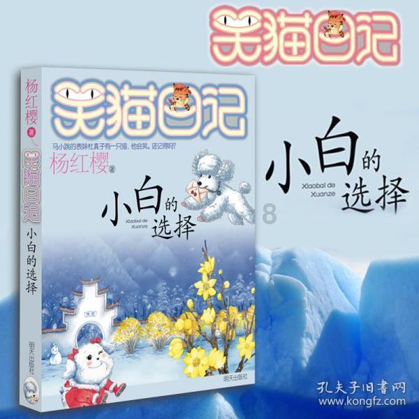 就业帮扶 真情相助 济南市举办2024年就业援助月· 残疾人就业专场招聘会